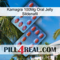 Kamagra 100Mg Oral Jelly Sildenafil 05